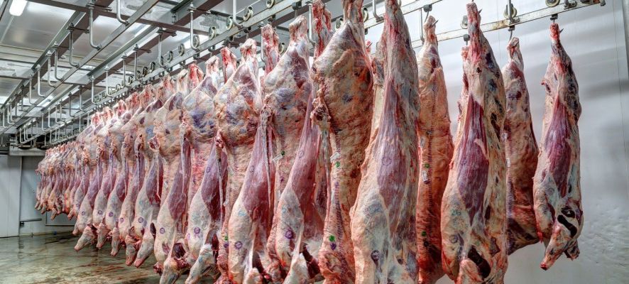 Mezbahalara Güvenlik Kamerası Zorunluluğu Geliyor