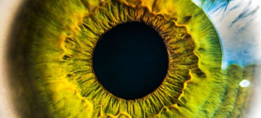 Yüz Tanımadan Sonraki Adım: İnsan Analizleri