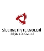 Sibernetik Teknoloji