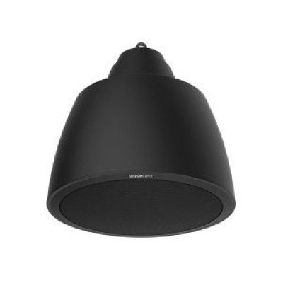 SPA-P100B Pendant Speaker